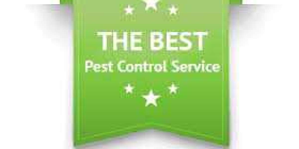 Conquering Critters: A Guide to the Best Pest Control in Baltimore