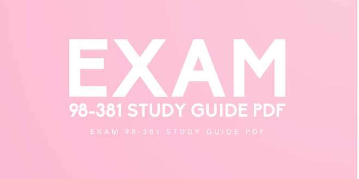 How to Excel in Exam 98-381: Study Guide PDF Roadmap