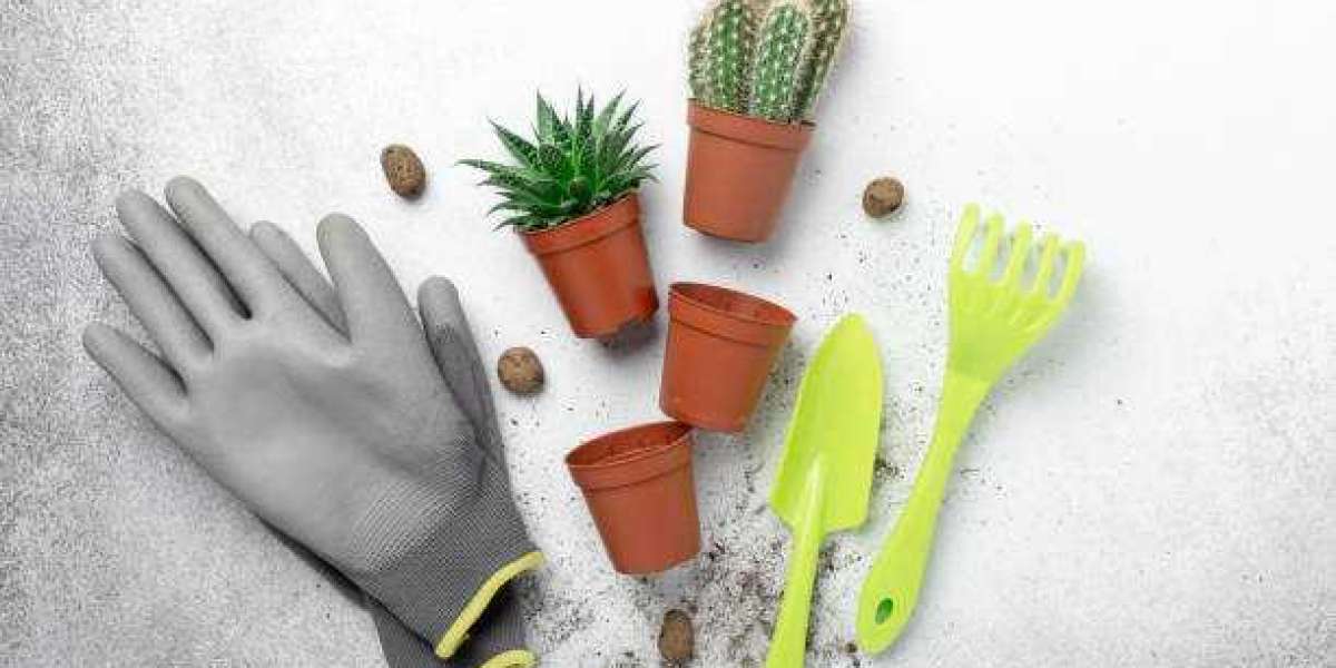 Building Your Ultimate Gardening Hand Tool Collection