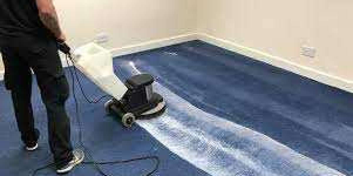 Professional Carpet Cleaning: Enhancing Home Comfort and Health