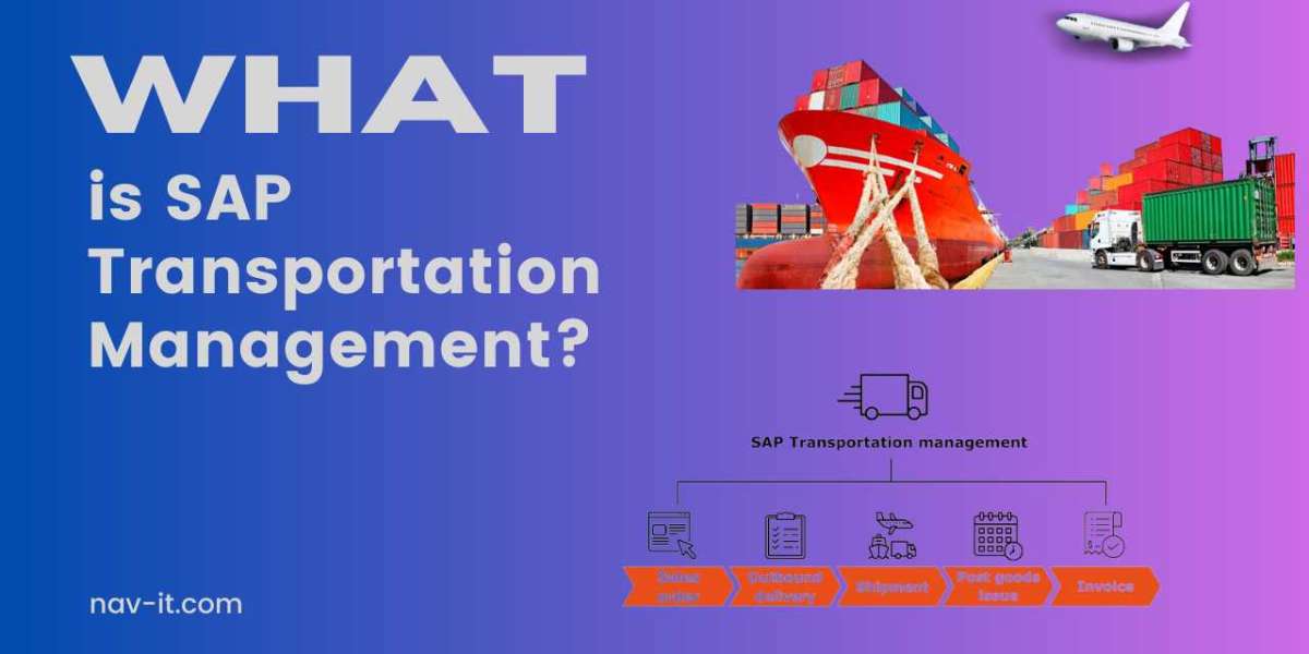 What is SAP Transportation Management?