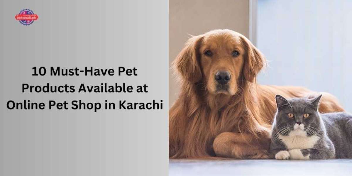 10 Must-Have Pet Products Available at Online Pet Shop in Karachi