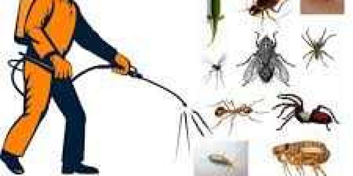 Rochester, NY Pest Control: Keeping Your Home and Business Pest-Free