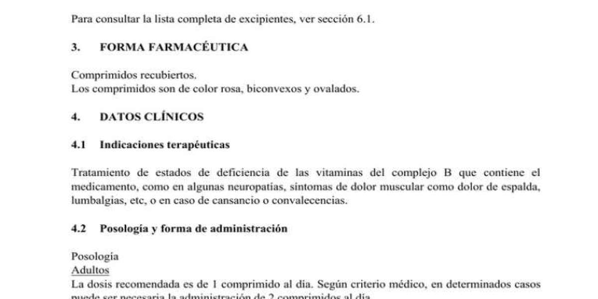 Planta ruda: Beneficios usos y propiedades medicinales en la medicina natural