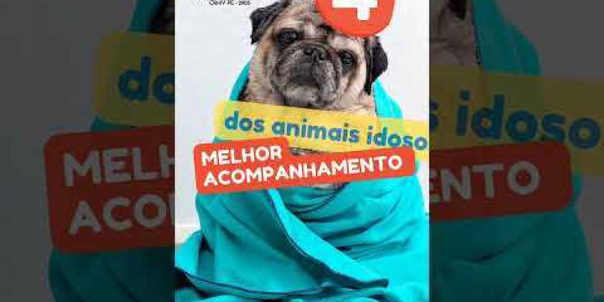 Entendendo a Síndrome de Cushing em Cães: Sintomas, Causas e Tratamentos Essenciais