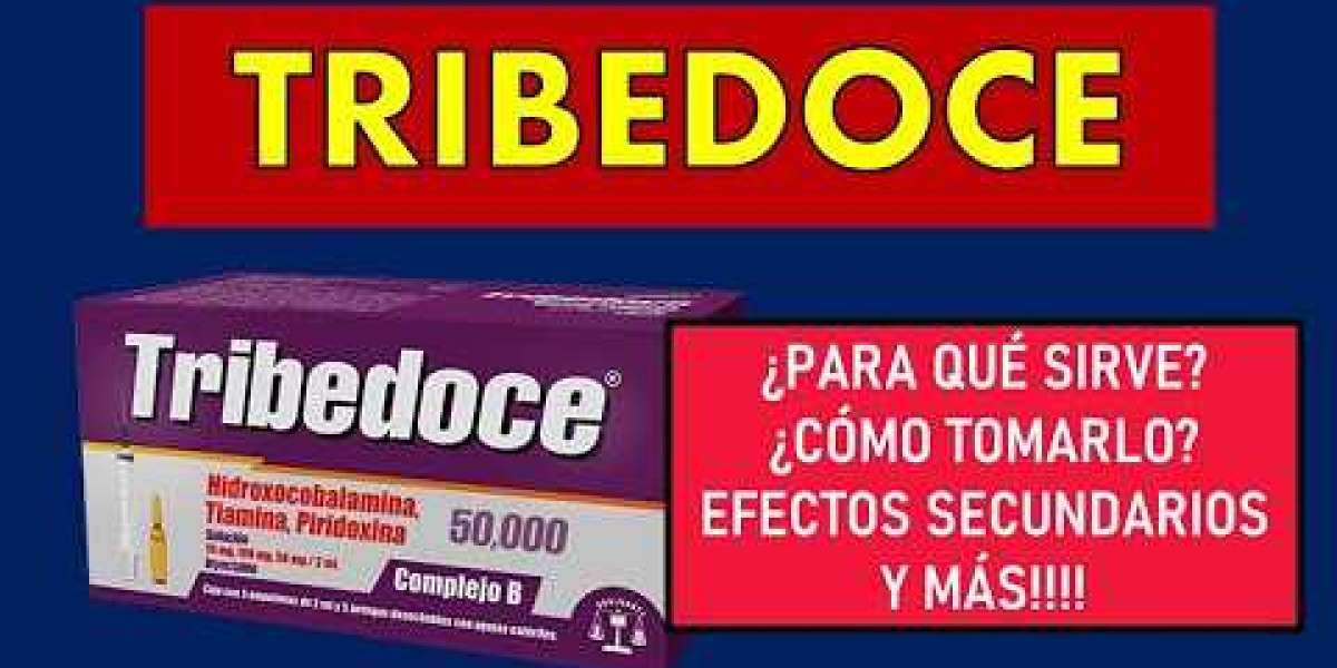 Qué es la ruda y para qué sirve: las propiedades de esta planta medicinal, sus contraindicaciones y cómo prepararla