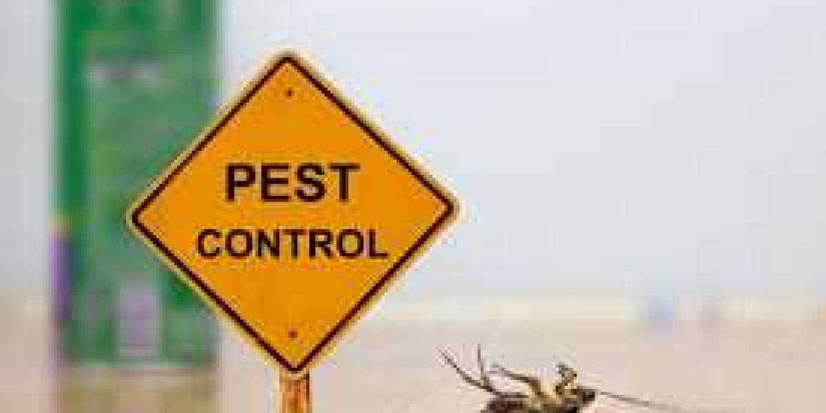 Exterminating the Menace: Finding the Best Pest Control Near You