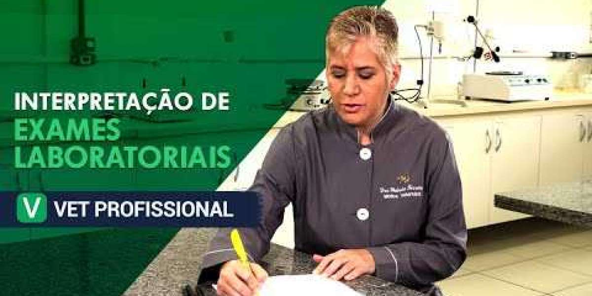 Sinais de Alerta: Como Saber se Seu Cão Está com Problemas Cardíacos