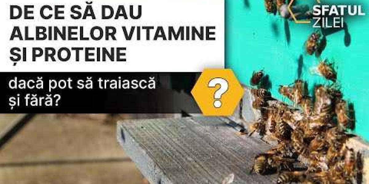 Comprar Biotina 60 comprimidos de 1000μg Bonusan